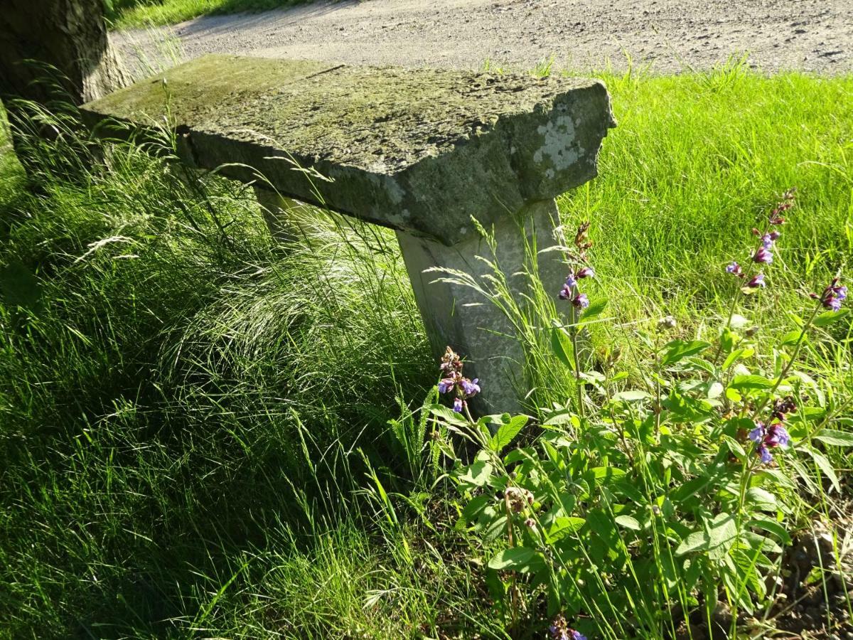 Alte Scheune Rietzschelhof Muglitztal Eksteriør billede